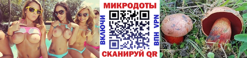 Псилоцибиновые грибы Cubensis  KRAKEN онион  Перевоз 
